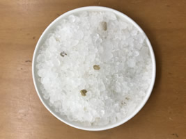 死海の塩：クリスタル粒